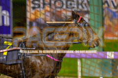 2026_PACEPIX_GP24072026_RACE4_MaximumRock_WIN_WEB-8