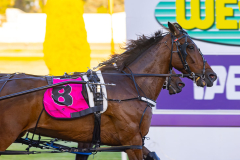 2025_PACEPIX_GP25112025_Race4_MedievalMan_WIN_WEB-10