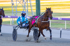2025_PACEPIX_GP25112025_Race4_MedievalMan_WIN_WEB-13