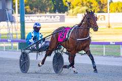2025_PACEPIX_GP25112025_Race4_MedievalMan_WIN_WEB-23