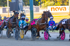 2025_PACEPIX_GP25112025_Race4_MedievalMan_WIN_WEB-7
