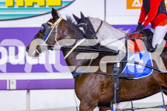 2026_PACEPIX_GP08052026_Race3_Menemsha_WIN_WEB-15