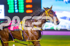 2025_PACEPIX_GP01082025_RACE4_MightyRonaldo_WIN_WEB-12