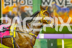 2025_PACEPIX_GP01082025_RACE4_MightyRonaldo_WIN_WEB-23