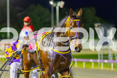 2025_PACEPIX_GP01082025_RACE4_MightyRonaldo_WIN_WEB-31