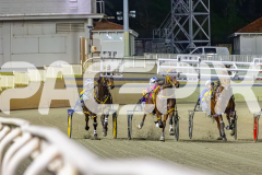 2025_PACEPIX_GP01082025_RACE4_MightyRonaldo_WIN_WEB-6