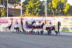 2025_PACEPIX_GP16122025_RACE4_MikiWindermere_WIN_WEB-1