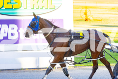 2025_PACEPIX_GP16122025_RACE4_MikiWindermere_WIN_WEB-16