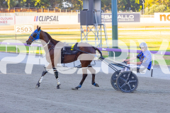 2025_PACEPIX_GP16122025_RACE4_MikiWindermere_WIN_WEB-17
