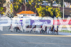 2025_PACEPIX_GP16122025_RACE4_MikiWindermere_WIN_WEB-4