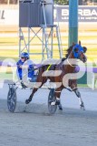 2025_PACEPIX_GP16122025_RACE4_MikiWindermere_WIN_WEB-5