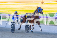 2025_PACEPIX_GP16122025_RACE4_MikiWindermere_WIN_WEB-6