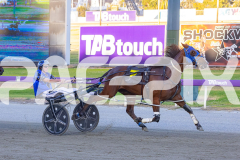 2025_PACEPIX_GP16122025_RACE4_MikiWindermere_WIN_WEB-9