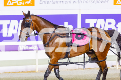 2026_PACEPIX_GP20022026_WEB-58