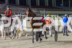 2026_PACEPIX_GP20022026_WEB-61