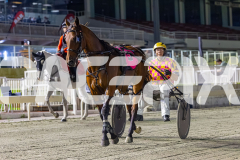 2026_PACEPIX_GP20022026_WEB-62
