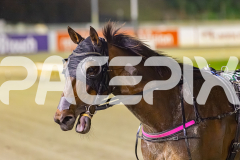2025_Pacepix_GP31132025_Race4_Minstrel_WIN_WEB-12