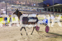 2025_Pacepix_GP31132025_Race4_Minstrel_WIN_WEB-16