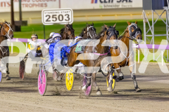 2025_Pacepix_GP31132025_Race4_Minstrel_WIN_WEB-3