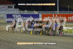 2026_PACEPIX_GP30102026_RACE4_Minstrel_WIN_WEB-12