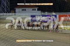 2026_PACEPIX_GP30102026_RACE4_Minstrel_WIN_WEB-15