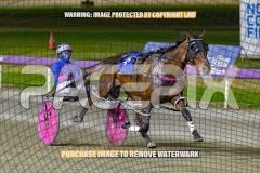 2026_PACEPIX_GP30102026_RACE4_Minstrel_WIN_WEB-17