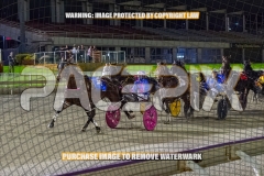 2026_PACEPIX_GP30102026_RACE4_Minstrel_WIN_WEB-2