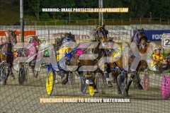 2026_PACEPIX_GP30102026_RACE4_Minstrel_WIN_WEB-3
