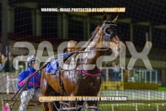 2026_PACEPIX_GP30102026_RACE4_Minstrel_WIN_WEB-36