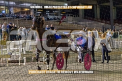 2026_PACEPIX_GP30102026_RACE4_Minstrel_WIN_WEB-37