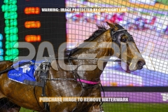 2026_PACEPIX_GP30102026_RACE4_Minstrel_WIN_WEB-8