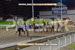 2026_PACEPIX_GP30102026_RACE4_Minstrel_WIN_WEB-9