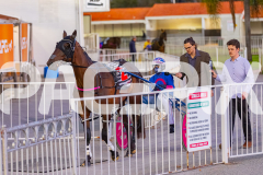 2025_PACEPIX_GP29112025_Race4_Minstrel_WIN_WEB-1