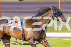 2025_PACEPIX_GP29112025_Race4_Minstrel_WIN_WEB-10