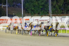 2025_PACEPIX_GP29112025_Race4_Minstrel_WIN_WEB-12
