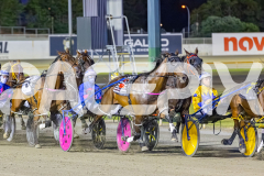 2025_PACEPIX_GP29112025_Race4_Minstrel_WIN_WEB-13
