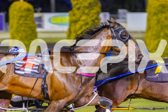2025_PACEPIX_GP29112025_Race4_Minstrel_WIN_WEB-15