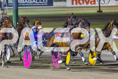 2025_PACEPIX_GP29112025_Race4_Minstrel_WIN_WEB-19