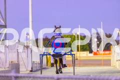 2025_PACEPIX_GP29112025_Race4_Minstrel_WIN_WEB-2