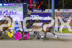2025_PACEPIX_GP29112025_Race4_Minstrel_WIN_WEB-22