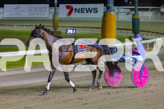 2025_PACEPIX_GP29112025_Race4_Minstrel_WIN_WEB-25