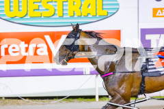 2025_PACEPIX_GP29112025_Race4_Minstrel_WIN_WEB-28