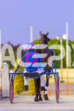 2025_PACEPIX_GP29112025_Race4_Minstrel_WIN_WEB-3