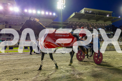 2025_PACEPIX_GP29112025_Race4_Minstrel_WIN_WEB-32