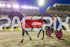 2025_PACEPIX_GP29112025_Race4_Minstrel_WIN_WEB-33