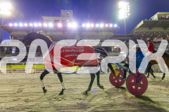2025_PACEPIX_GP29112025_Race4_Minstrel_WIN_WEB-34