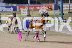 2025_PACEPIX_GP29112025_Race4_Minstrel_WIN_WEB-5
