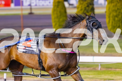 2025_PACEPIX_GP29112025_Race4_Minstrel_WIN_WEB-7