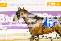 2025_PACEPIX_GP10102025_RACE4_Minstrel_WIN_WEB-14