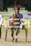 2025_PACEPIX_GP10102025_RACE4_Minstrel_WIN_WEB-15